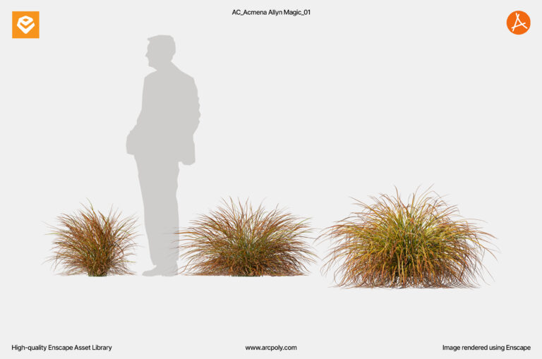 AC_PM_V109_Anemanthele_lessoniana_01