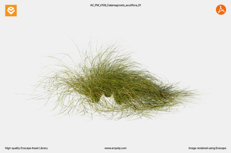 AC_PM_V109_Carex_comans_01.4
