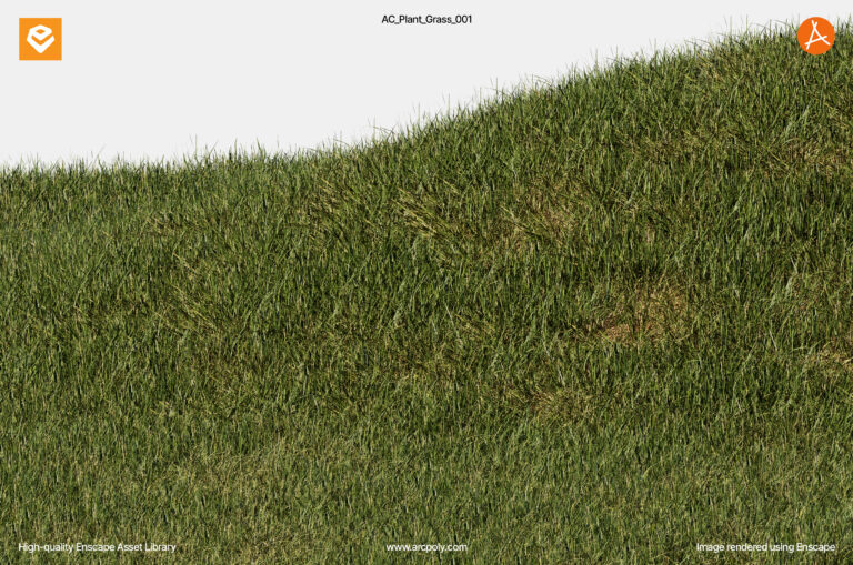 AC_Plant_Grass_001 (Free Enscape Asset)