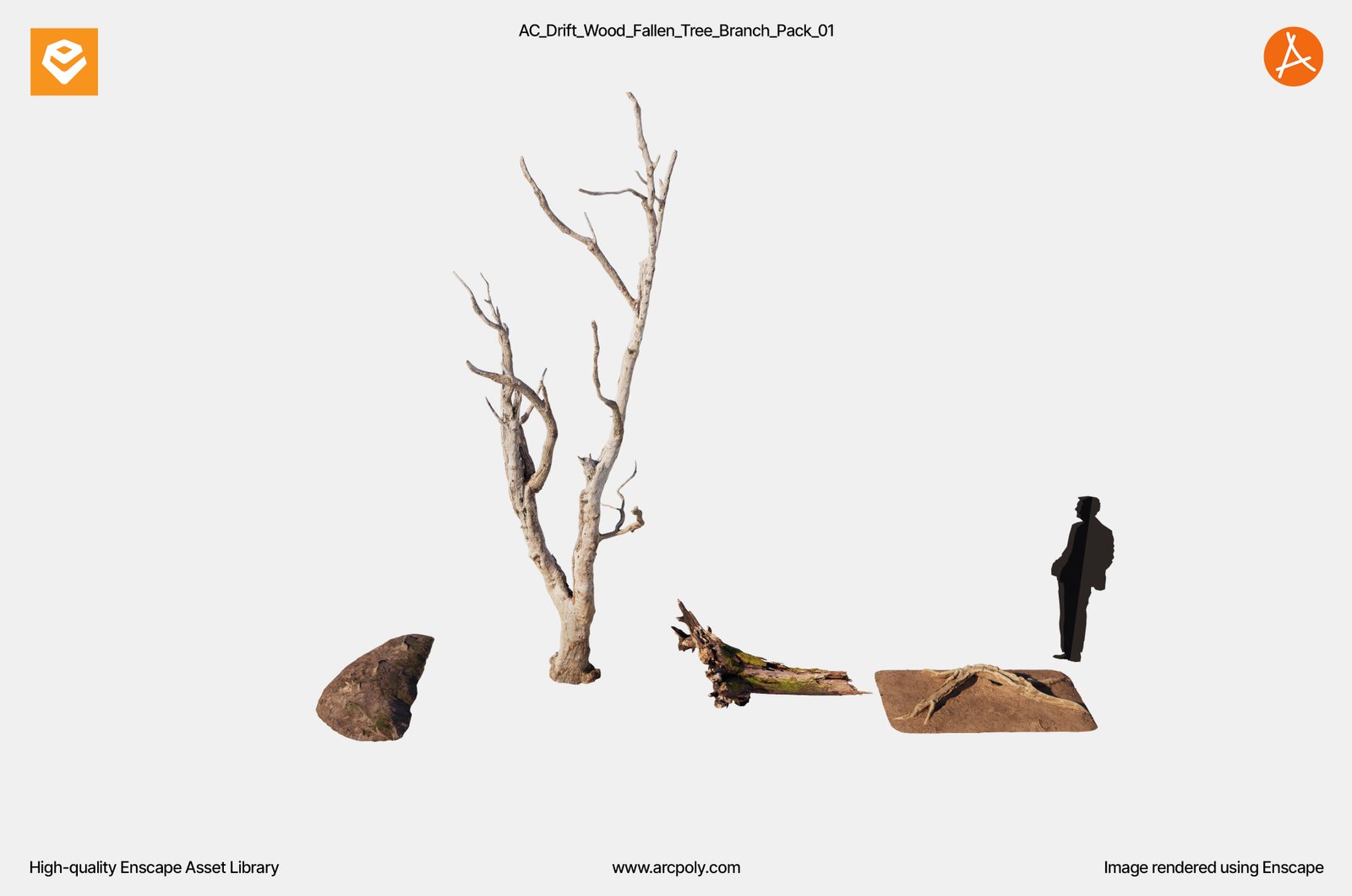 AC_Drift_Wood_Fallen_Tree_Branch_Pack_02 AC_Drift_Wood_Fallen_Tree_Branch_Pack_01